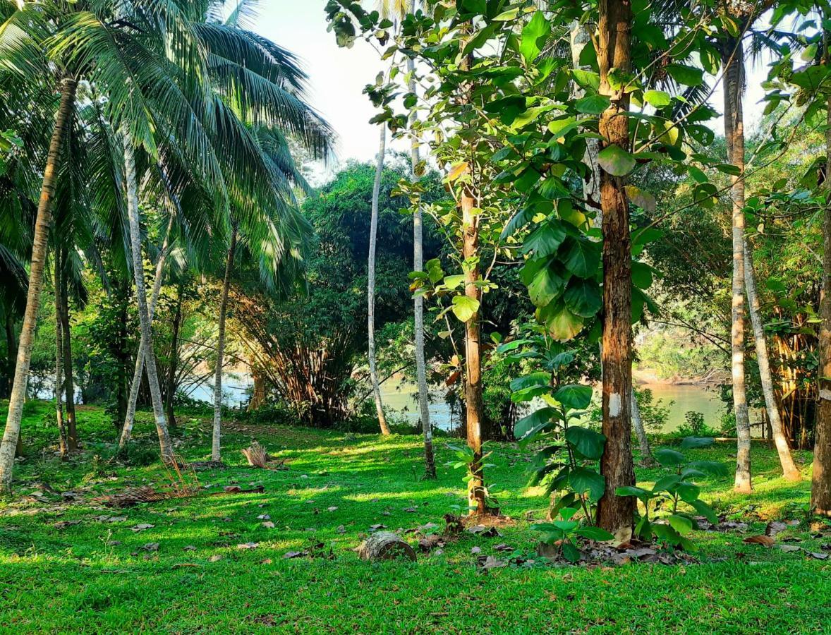 Nature'S Hideout Holiday Home Mirigama Esterno foto